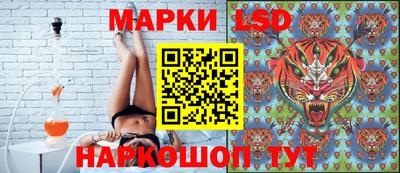 PSILOCYBIN Краснодар