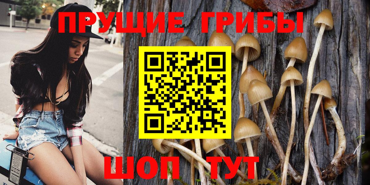 Псилоцибиновые грибы GOLDEN TEACHER  Вход с VPN  где купить наркоту  Калуга 