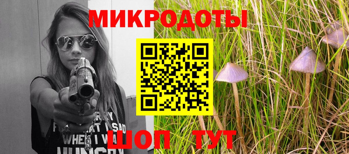 Галлюциногенные грибы Psilocybine cubensis Калуга